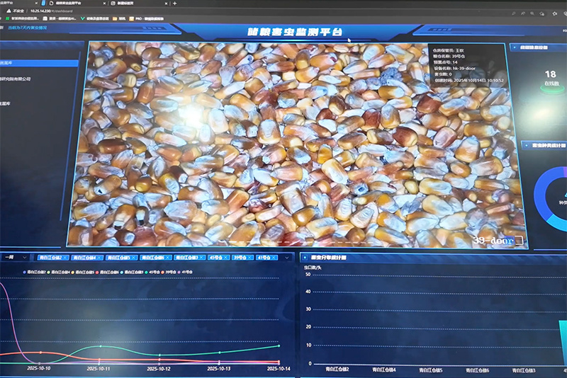 气膜仓储粮、AI虫情监测分析 大国粮仓科技范儿十足 气膜仓储粮、AI虫情监测分析 大国粮仓科技范儿十足