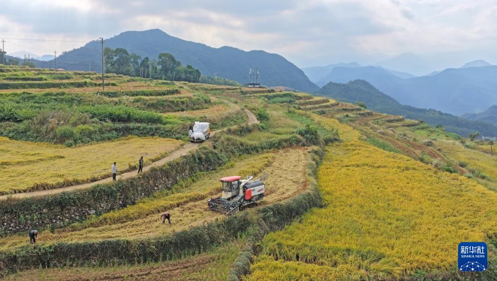 霜降时节农事忙 霜降时节农事忙
