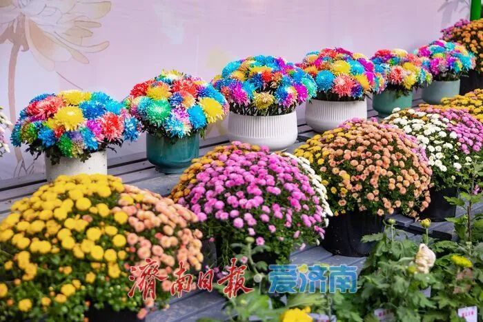 惊艳亮相!济南人又多一个好去处→ 惊艳亮相!济南人又多一个好去处→