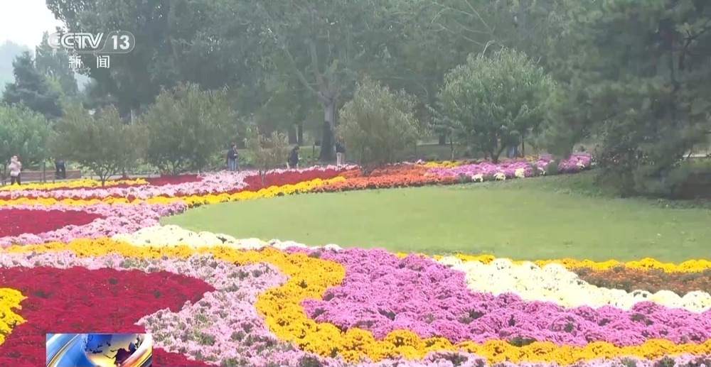 秋日落叶有妙用!北京公园变废为宝 落叶变有机资源 秋日落叶有妙用!北京公园变废为宝 落叶变有机资源