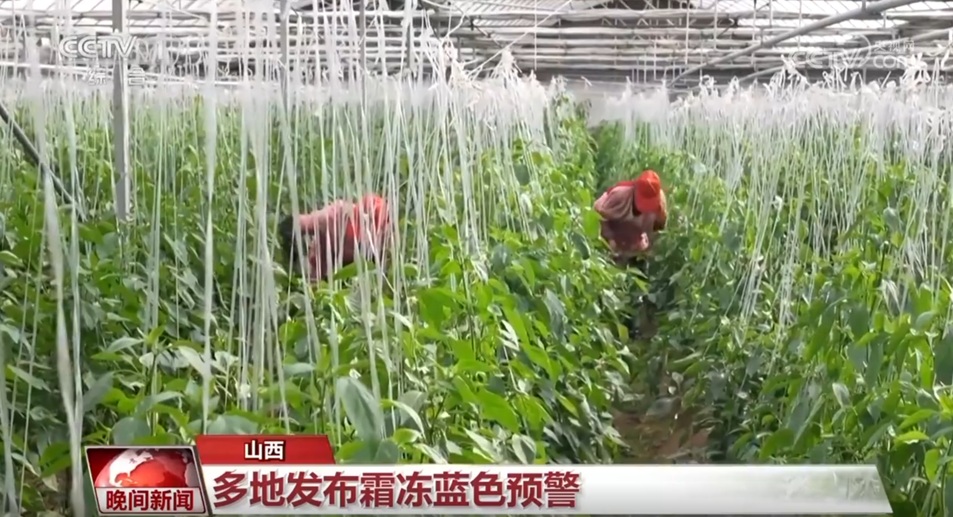 冷空气席卷多地 今起影响进入尾声 冷空气席卷多地 今起影响进入尾声