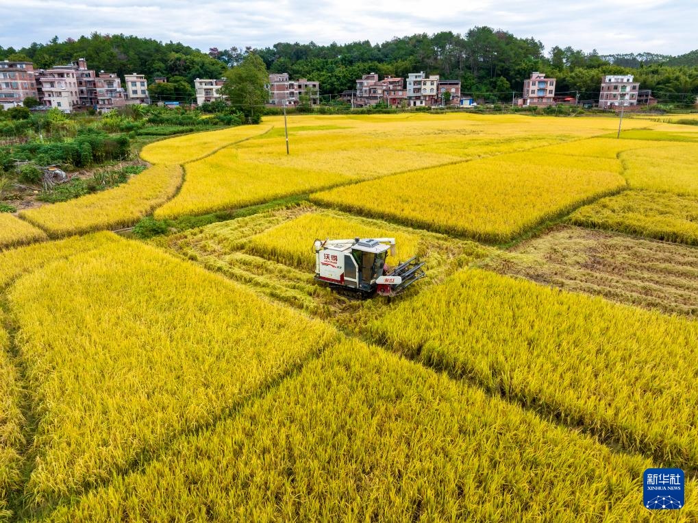 霜降时节农事忙 霜降时节农事忙
