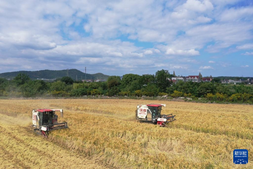 霜降时节农事忙 霜降时节农事忙