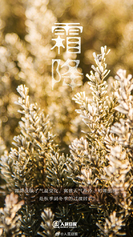 今日,10月23日11时51分霜降 今日,10月23日11时51分霜降