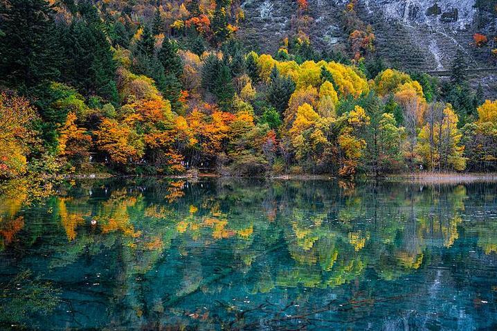 霜降已到，全国红叶上线中！这些“出片宝地”藏不住了