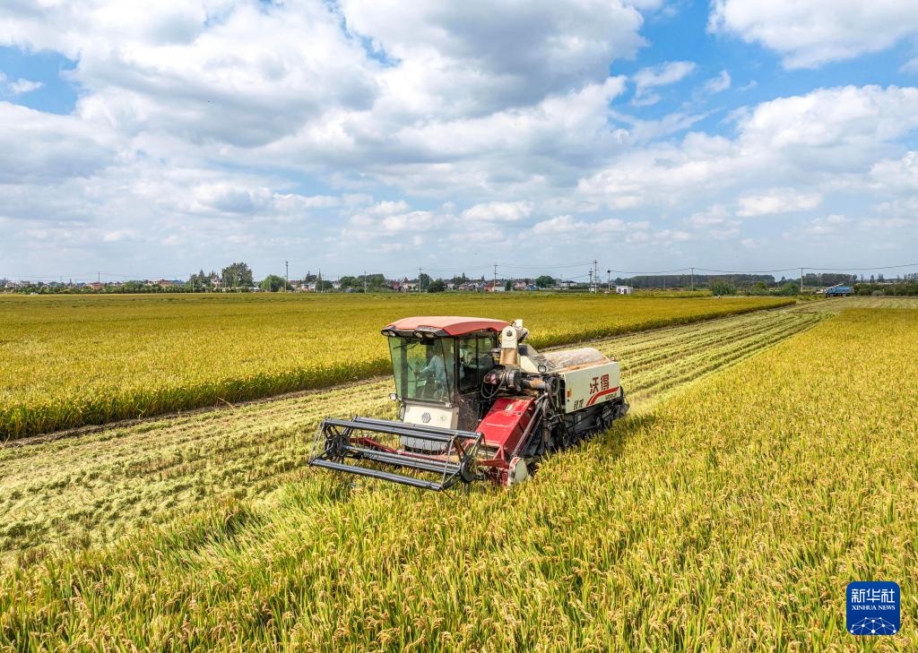 霜降时节农事忙 霜降时节农事忙