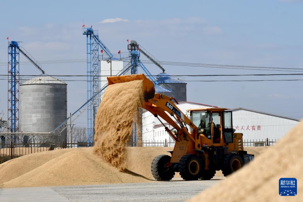 霜降时节农事忙 霜降时节农事忙