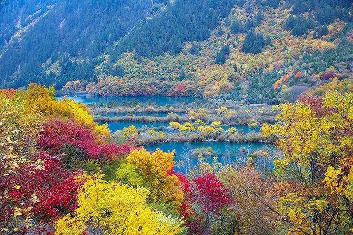 霜降已到，全国红叶上线中！这些“出片宝地”藏不住了