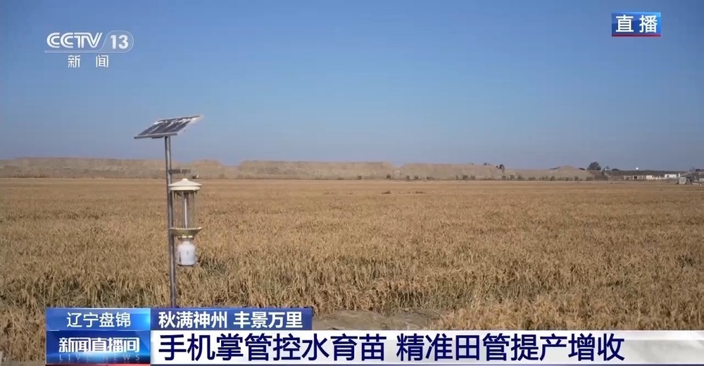 稻田里藏着哪些增收密码?“稻蟹共生”迎来双丰收 稻田里藏着哪些增收密码?“稻蟹共生”迎来双丰收