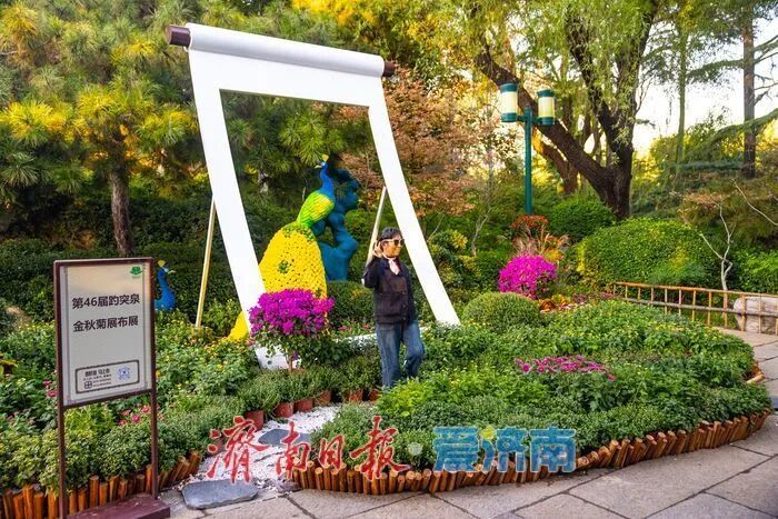 惊艳亮相!济南人又多一个好去处→ 惊艳亮相!济南人又多一个好去处→