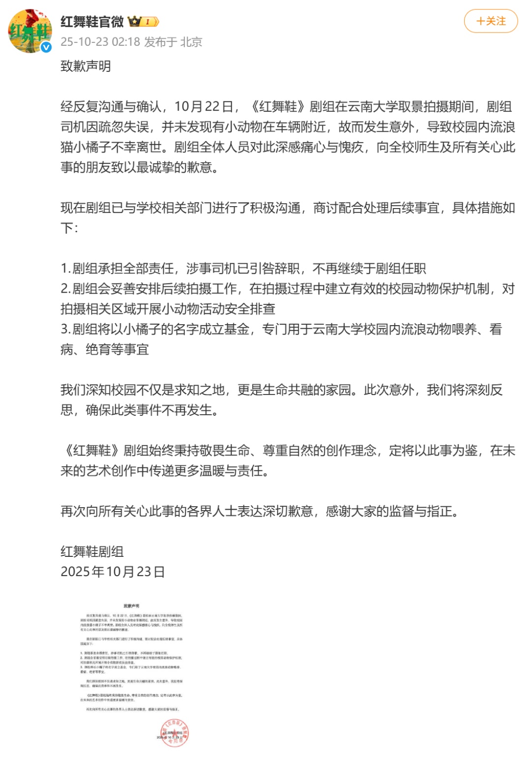 在云南大学拍戏期间撞死小猫,涉事剧组深夜道歉 在云南大学拍戏期间撞死小猫,涉事剧组深夜道歉