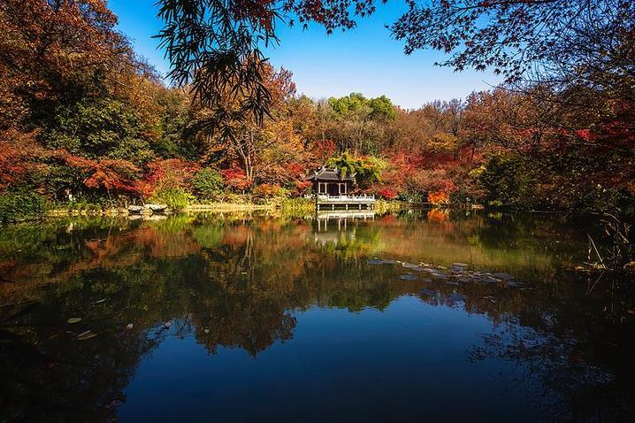 霜降已到，全国红叶上线中！这些“出片宝地”藏不住了