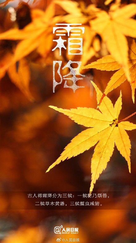 今日,10月23日11时51分霜降 今日,10月23日11时51分霜降