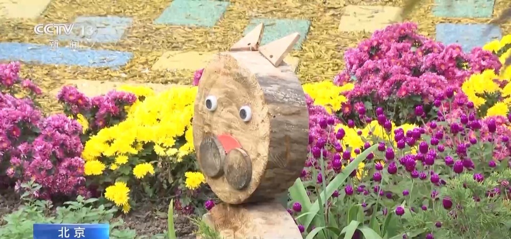 秋日落叶有妙用!北京公园变废为宝 落叶变有机资源 秋日落叶有妙用!北京公园变废为宝 落叶变有机资源