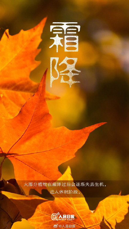 今日,10月23日11时51分霜降 今日,10月23日11时51分霜降