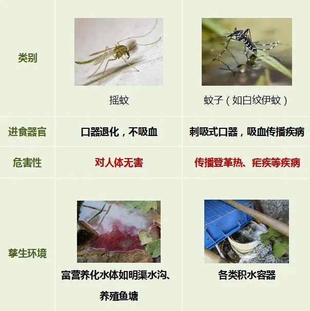 头皮发麻！这种水你还敢喝？几百枚卵可能已经下肚……