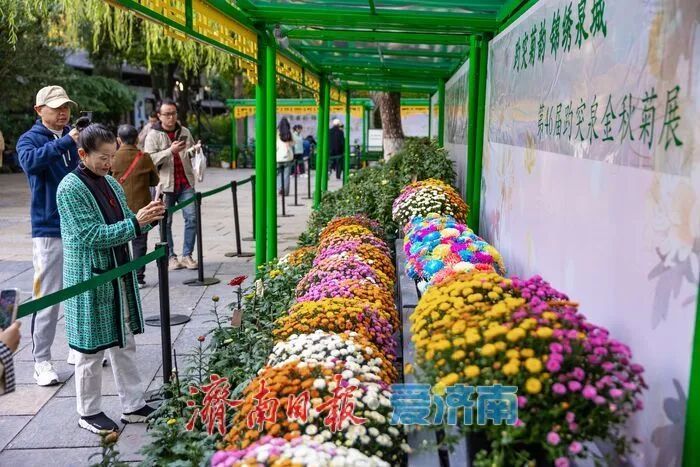 惊艳亮相!济南人又多一个好去处→ 惊艳亮相!济南人又多一个好去处→