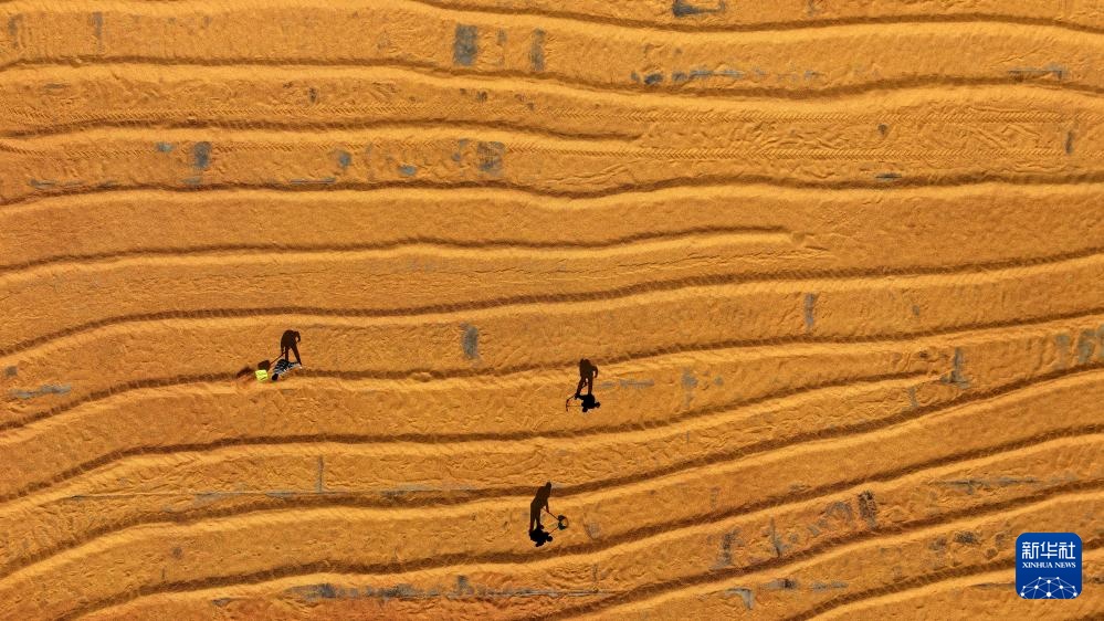 霜降时节农事忙 霜降时节农事忙