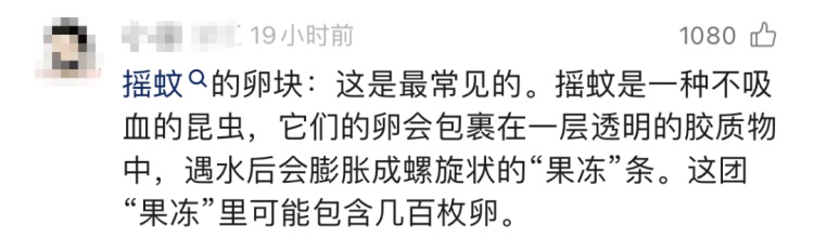 头皮发麻！这种水你还敢喝？几百枚卵可能已经下肚……