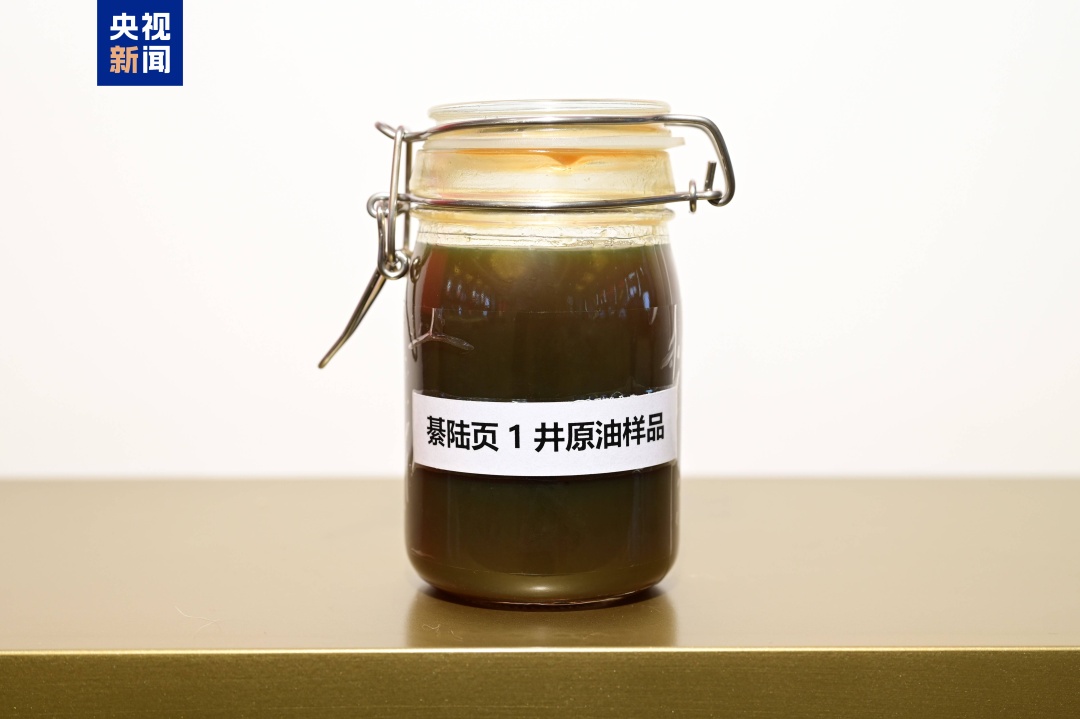 四川盆地发现亿吨级页岩油资源! 四川盆地发现亿吨级页岩油资源!