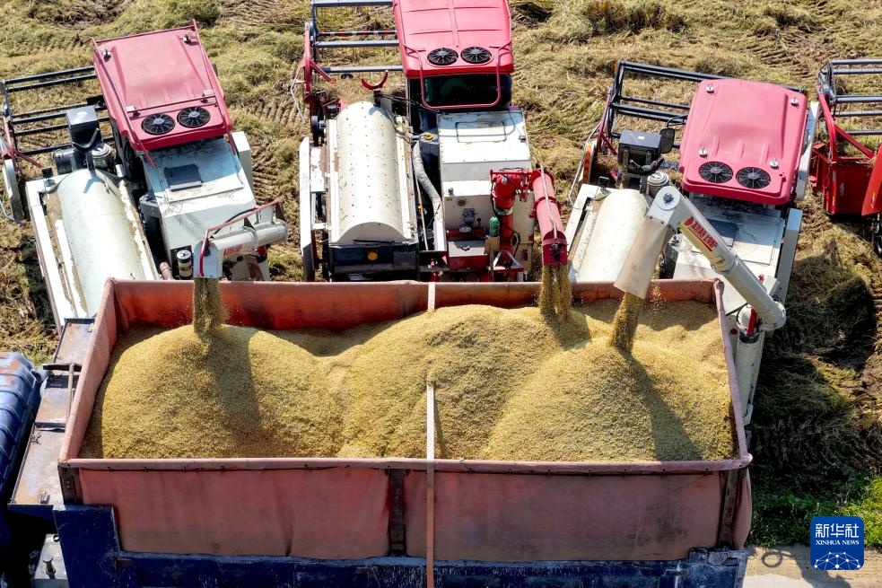 霜降时节农事忙 霜降时节农事忙