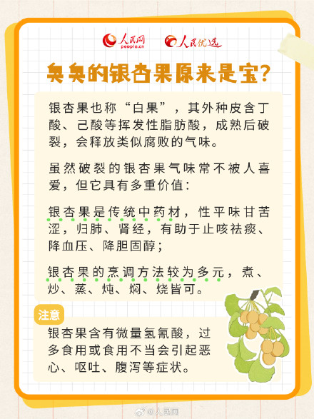 拍照超级出片的秋季限定银杏树，你了解多少？