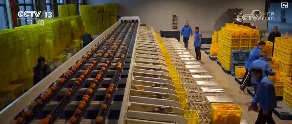 前三季度快递业务量同比增长17.2%！强劲增速折射中国消费市场蓬勃脉动