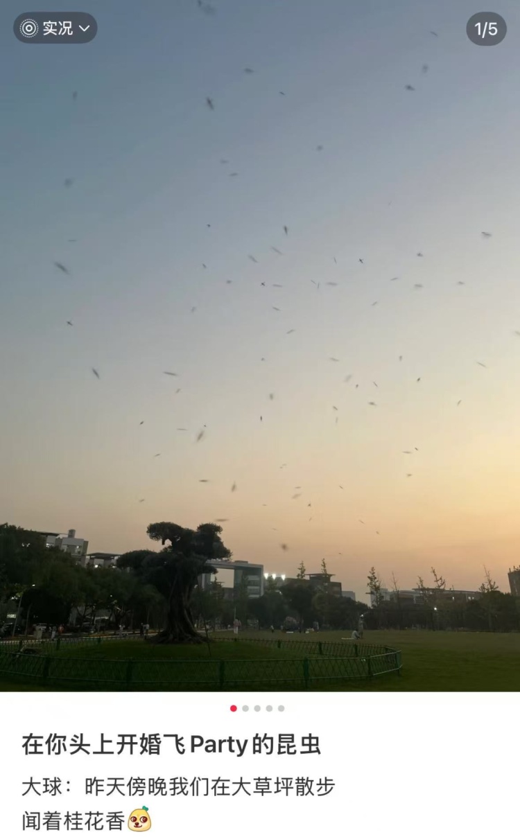 头皮发麻！这种水你还敢喝？几百枚卵可能已经下肚……