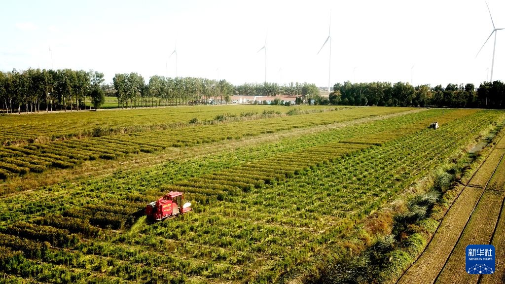 霜降时节农事忙 霜降时节农事忙