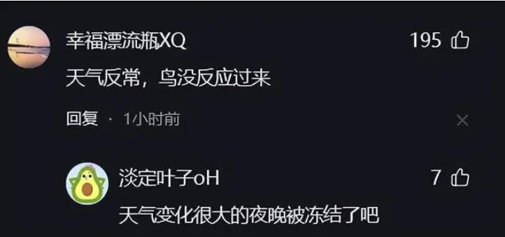 燕子滞留东北不能南飞被冻死,秋天真的越来越短吗? 燕子滞留东北不能南飞被冻死,秋天真的越来越短吗?