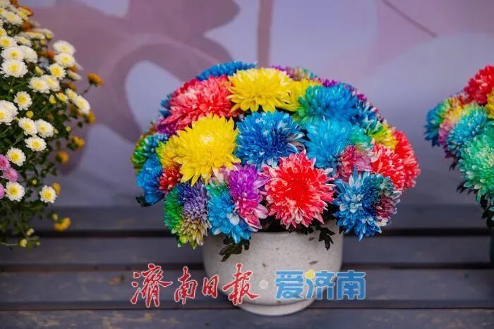 惊艳亮相!济南人又多一个好去处→ 惊艳亮相!济南人又多一个好去处→