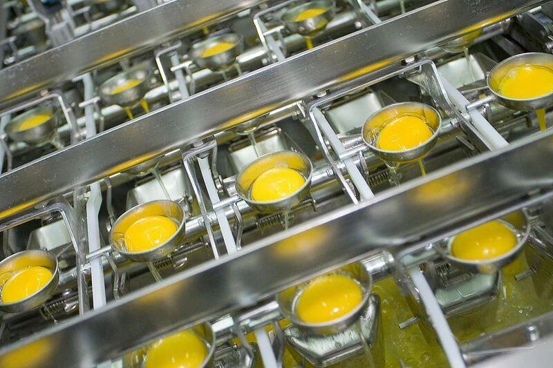 蛋制品生产许可新规来了 鸡蛋这样放才安全→