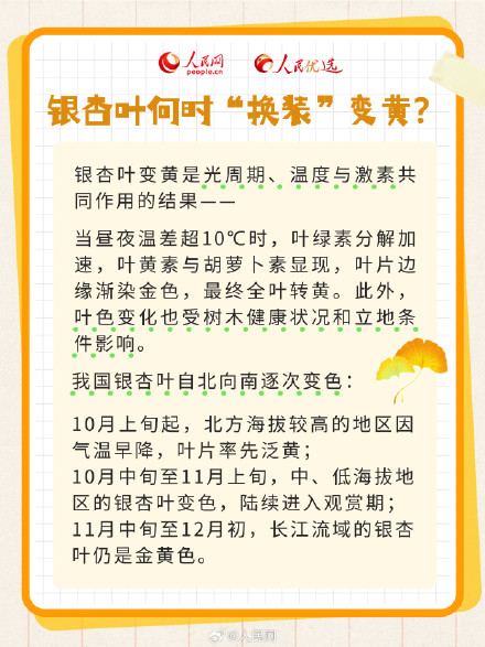 拍照超级出片的秋季限定银杏树，你了解多少？