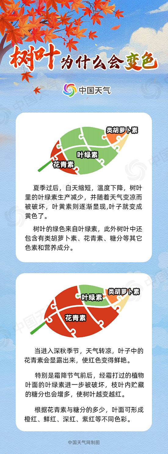 赏红正当时!全国赏红叶地图出炉 十大观赏地带你体验不同秋色 赏红正当时!全国赏红叶地图出炉 十大观赏地带你体验不同秋色