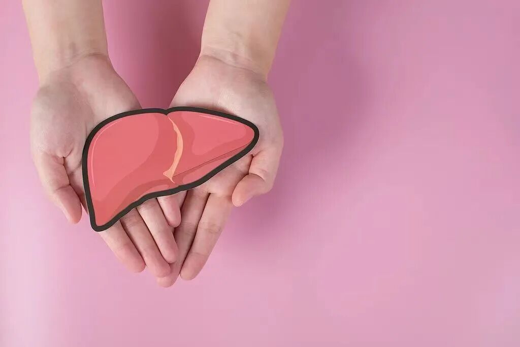 “人工肝”是人造的肝脏吗？