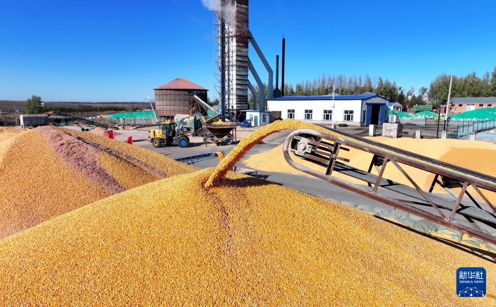 霜降时节农事忙 霜降时节农事忙