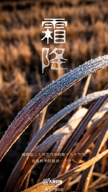 今日,10月23日11时51分霜降 今日,10月23日11时51分霜降