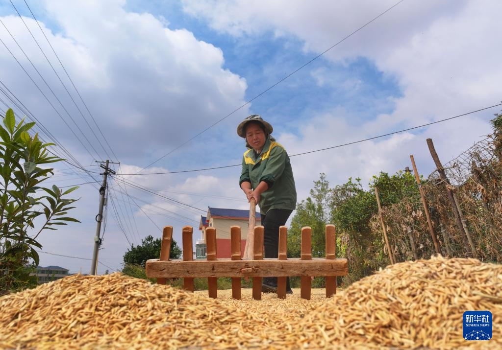 霜降时节农事忙 霜降时节农事忙