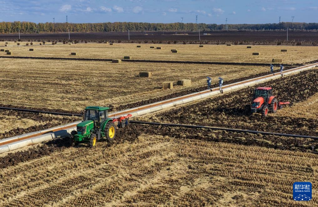 霜降时节农事忙 霜降时节农事忙