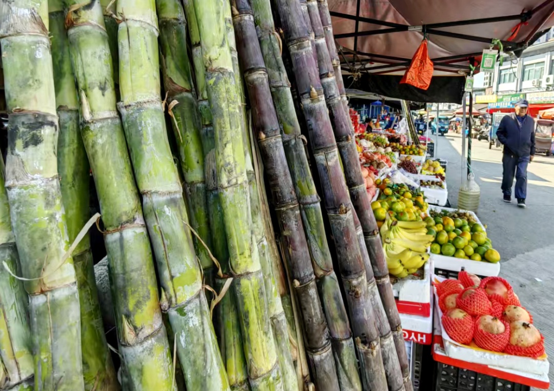 15元两根啦!合肥大量上市 15元两根啦!合肥大量上市