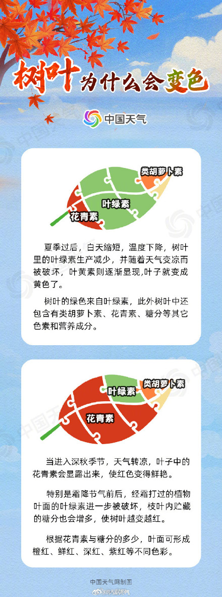 赏红正当时!京津冀等地红叶最佳观赏期即将开启 赏红正当时!京津冀等地红叶最佳观赏期即将开启