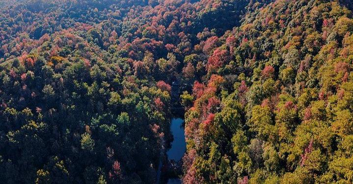 霜降已到，全国红叶上线中！这些“出片宝地”藏不住了