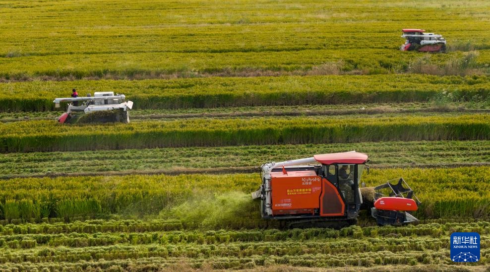 霜降时节农事忙 霜降时节农事忙