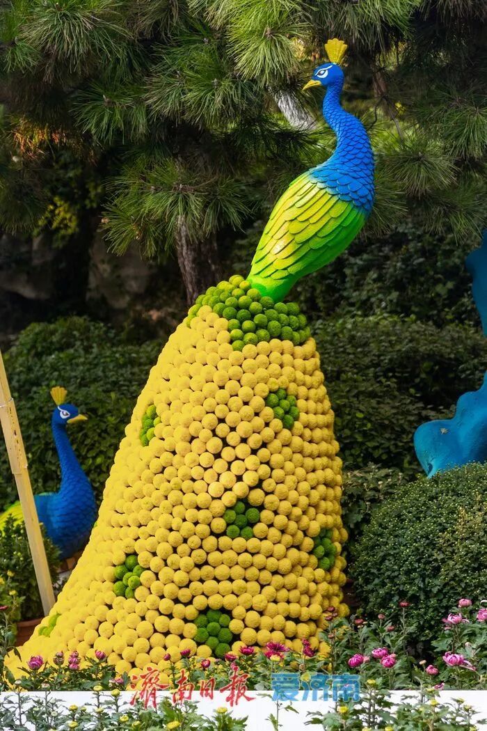 惊艳亮相!济南人又多一个好去处→ 惊艳亮相!济南人又多一个好去处→