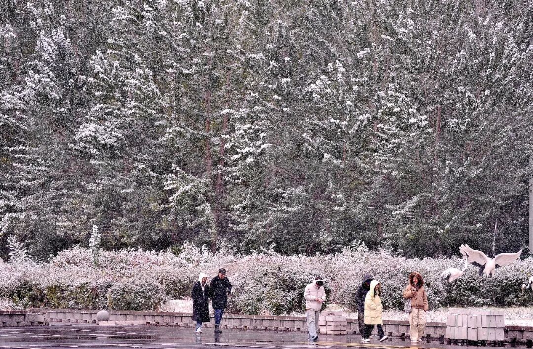 大雪暴雪上线!今冬会更冷吗?(附全国加被子地图) 大雪暴雪上线!今冬会更冷吗?(附全国加被子地图)