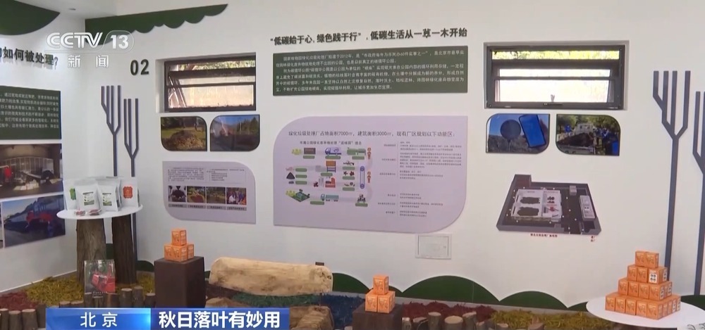秋日落叶有妙用!北京公园变废为宝 落叶变有机资源 秋日落叶有妙用!北京公园变废为宝 落叶变有机资源