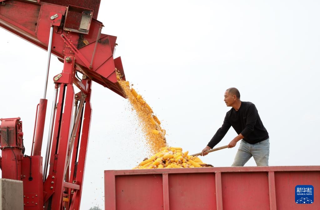 霜降时节农事忙 霜降时节农事忙