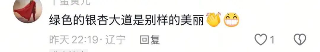 银杏叶未黄先落!今年的“满地金黄景”还能看到么? 银杏叶未黄先落!今年的“满地金黄景”还能看到么?