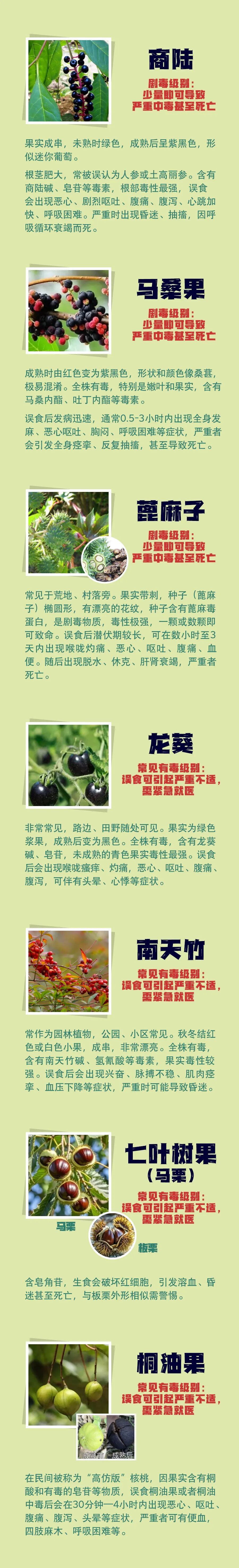 有毒！别捡！别乱吃！近期随处可见