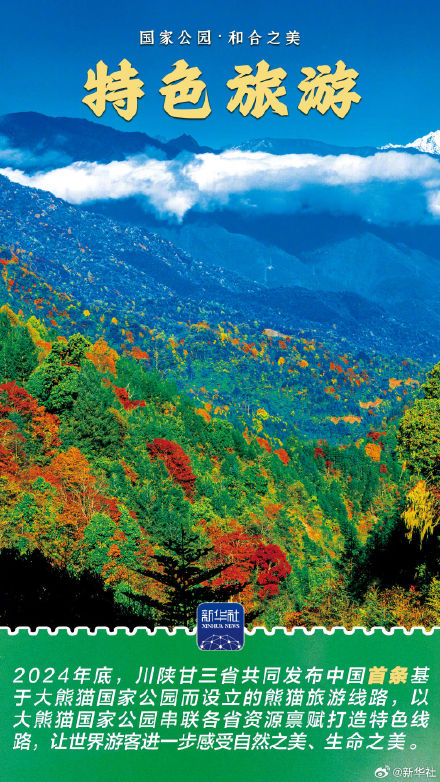 感受大熊猫国家公园的蓬勃生机 感受大熊猫国家公园的蓬勃生机